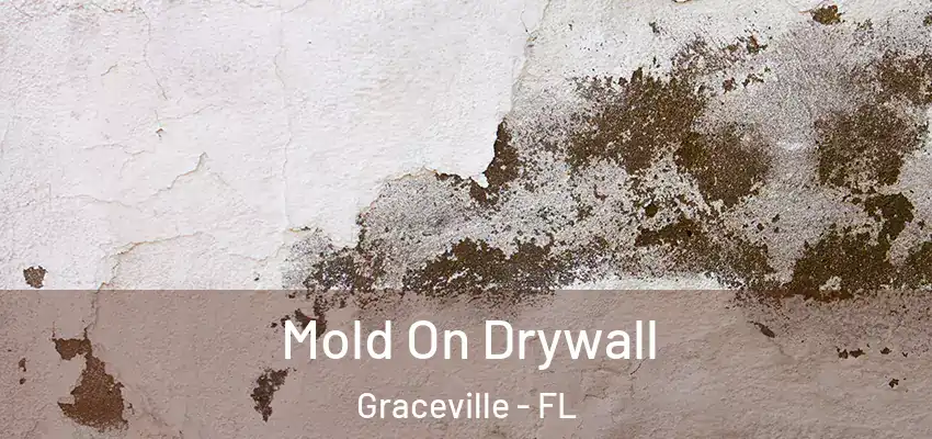 Mold On Drywall Graceville - FL