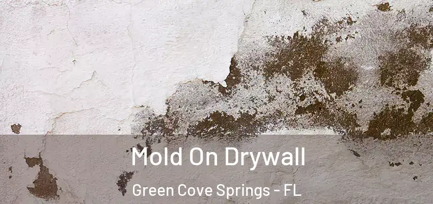  Mold On Drywall Green Cove Springs - FL