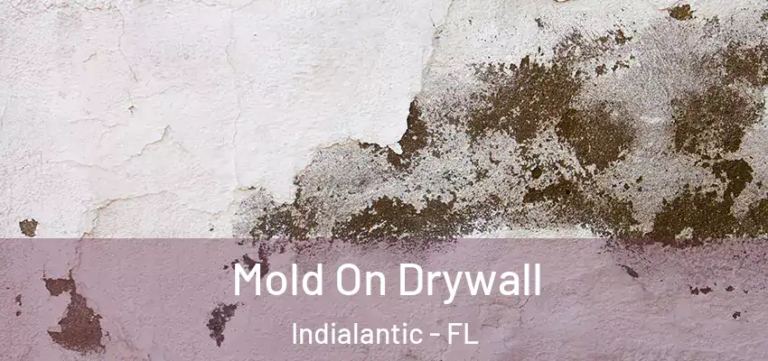  Mold On Drywall Indialantic - FL