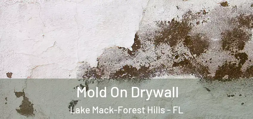  Mold On Drywall Lake Mack-Forest Hills - FL