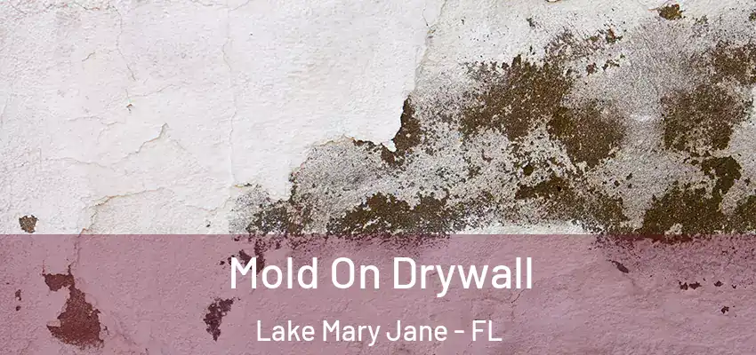  Mold On Drywall Lake Mary Jane - FL