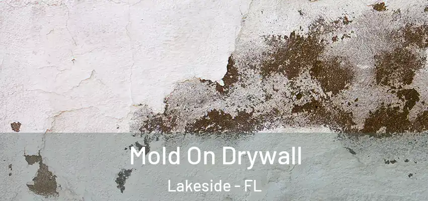  Mold On Drywall Lakeside - FL