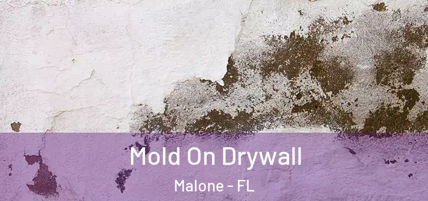  Mold On Drywall Malone - FL