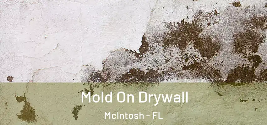 Mold On Drywall McIntosh - FL