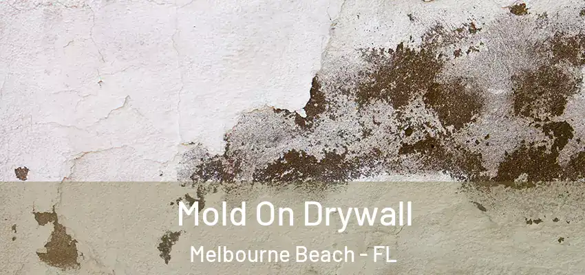 Mold On Drywall Melbourne Beach - FL