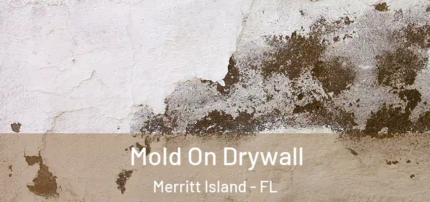 Mold On Drywall Merritt Island - FL