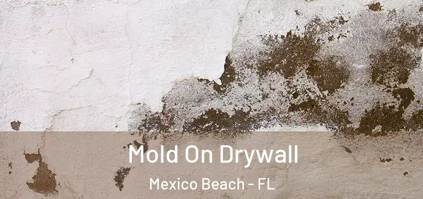 Mold On Drywall Mexico Beach - FL