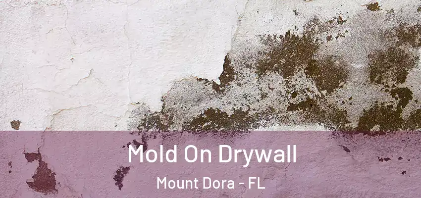  Mold On Drywall Mount Dora - FL