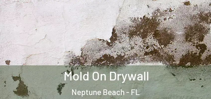 Mold On Drywall Neptune Beach - FL