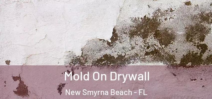  Mold On Drywall New Smyrna Beach - FL