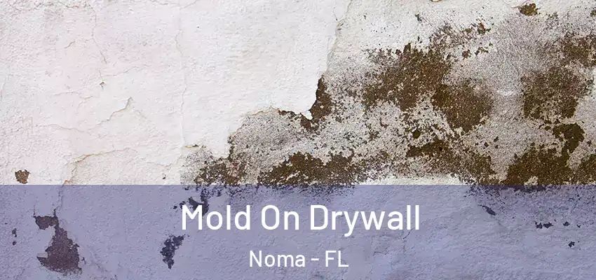 Mold On Drywall Noma - FL