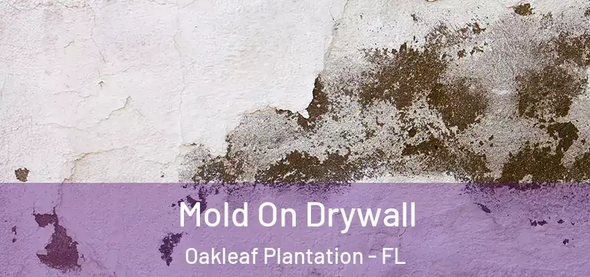  Mold On Drywall Oakleaf Plantation - FL