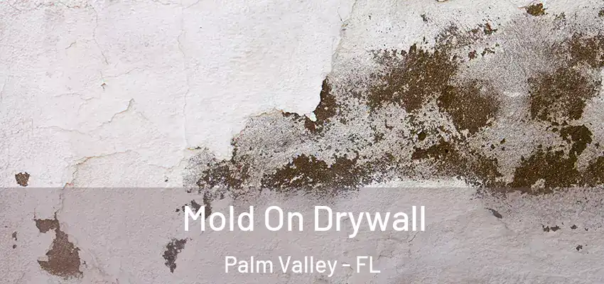  Mold On Drywall Palm Valley - FL