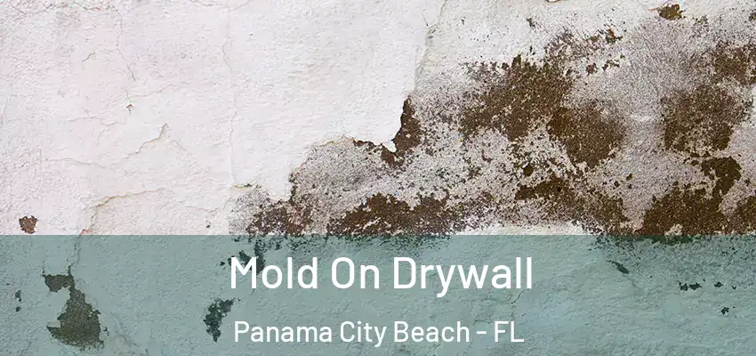  Mold On Drywall Panama City Beach - FL