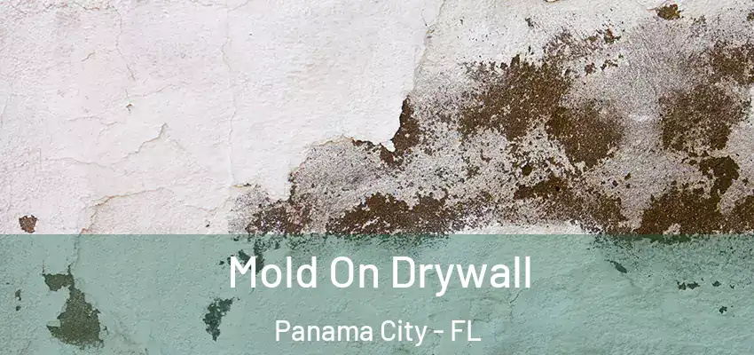  Mold On Drywall Panama City - FL