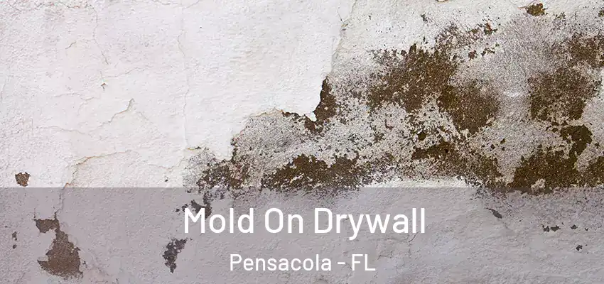 Mold On Drywall Pensacola - FL