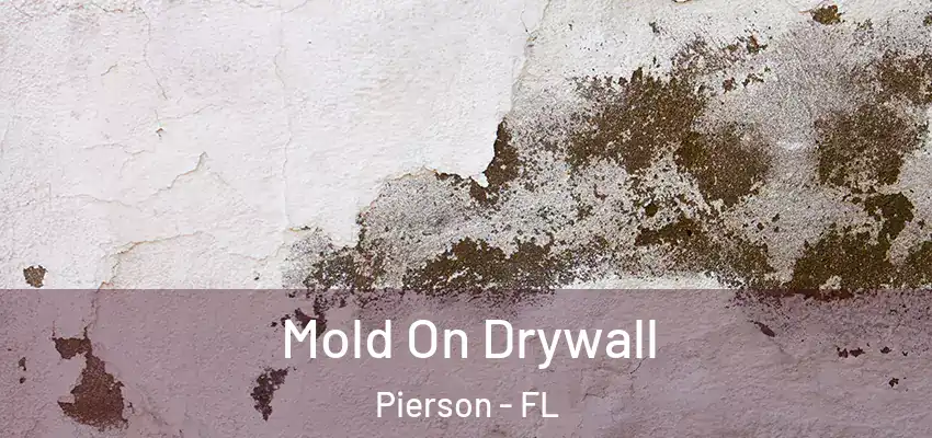 Mold On Drywall Pierson - FL