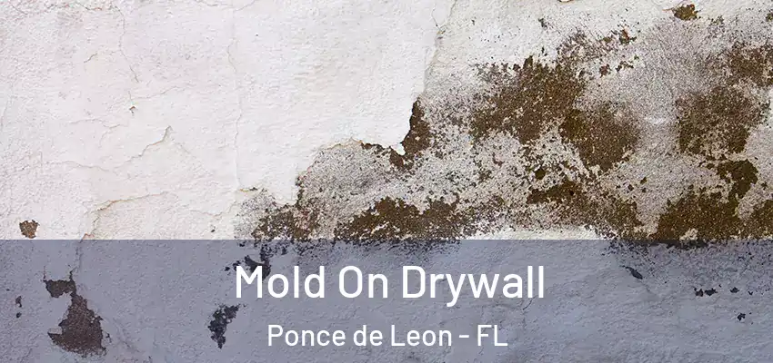 Mold On Drywall Ponce de Leon - FL