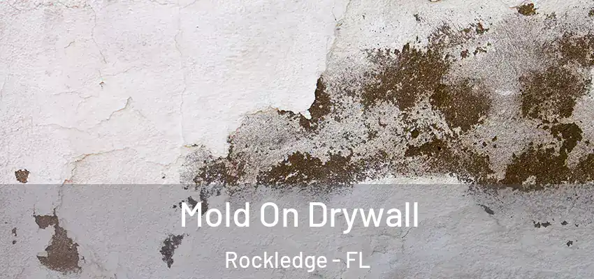  Mold On Drywall Rockledge - FL
