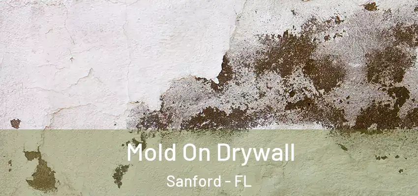  Mold On Drywall Sanford - FL
