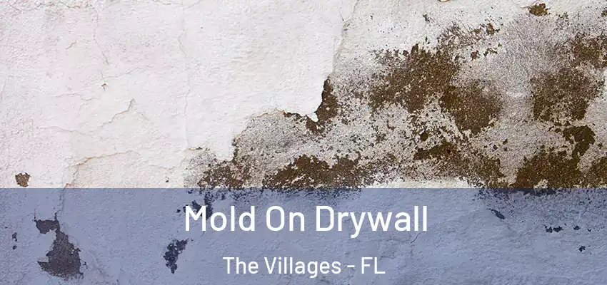  Mold On Drywall The Villages - FL
