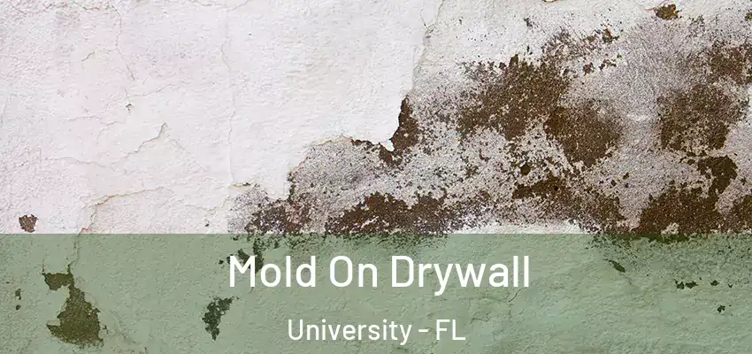  Mold On Drywall University - FL