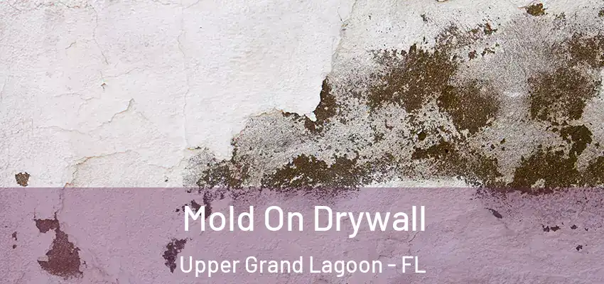  Mold On Drywall Upper Grand Lagoon - FL