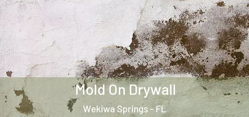  Mold On Drywall Wekiwa Springs - FL