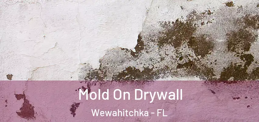 Mold On Drywall Wewahitchka - FL
