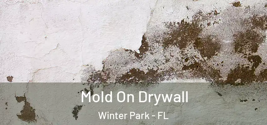 Mold On Drywall Winter Park - FL