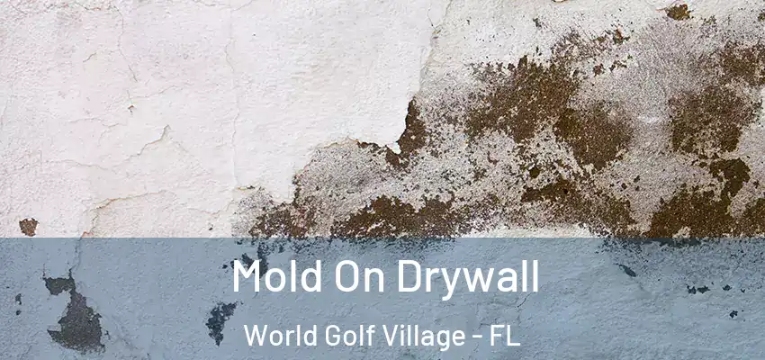  Mold On Drywall World Golf Village - FL
