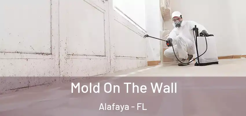  Mold On The Wall Alafaya - FL