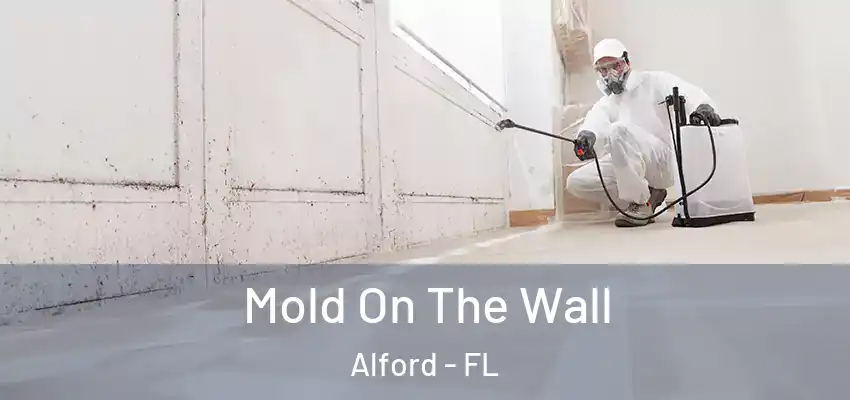  Mold On The Wall Alford - FL