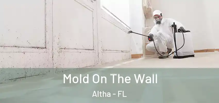  Mold On The Wall Altha - FL