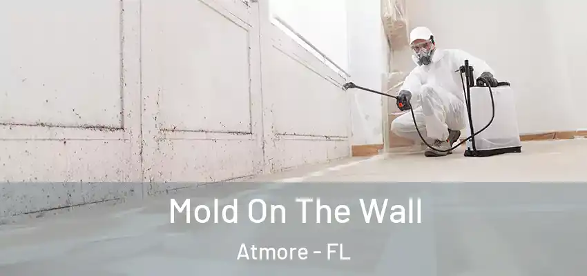 Mold On The Wall Atmore - FL