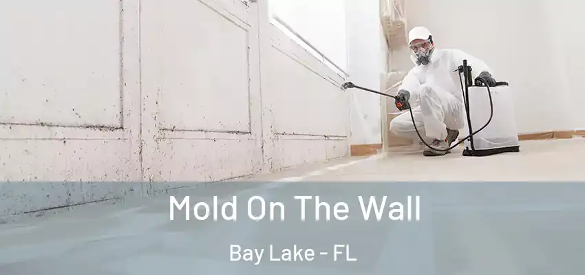  Mold On The Wall Bay Lake - FL