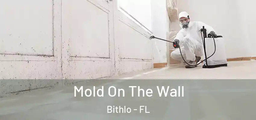  Mold On The Wall Bithlo - FL