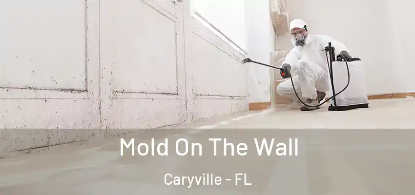  Mold On The Wall Caryville - FL