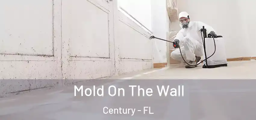  Mold On The Wall Century - FL