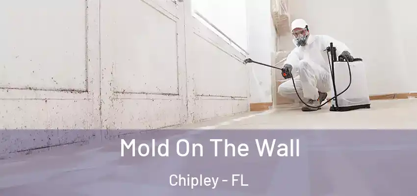  Mold On The Wall Chipley - FL