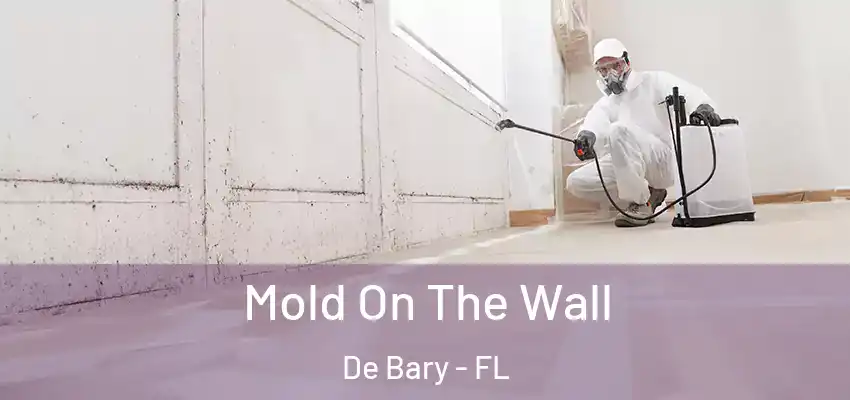  Mold On The Wall De Bary - FL
