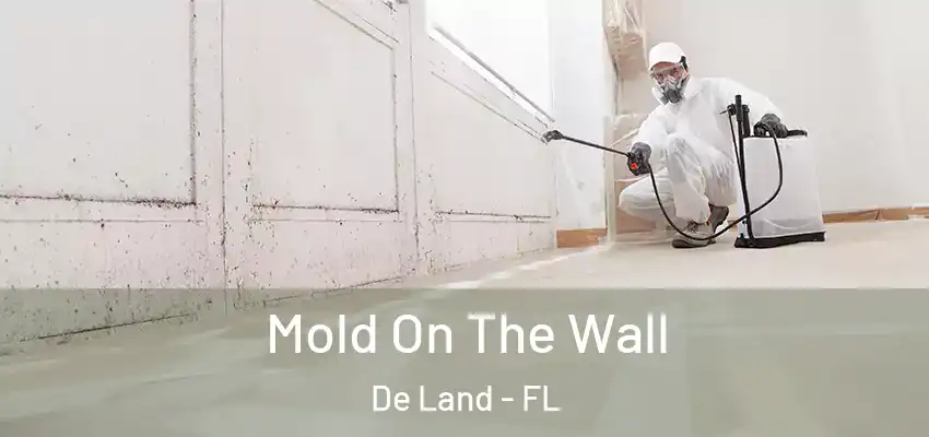  Mold On The Wall De Land - FL