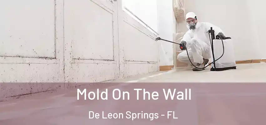  Mold On The Wall De Leon Springs - FL