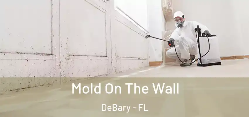  Mold On The Wall DeBary - FL