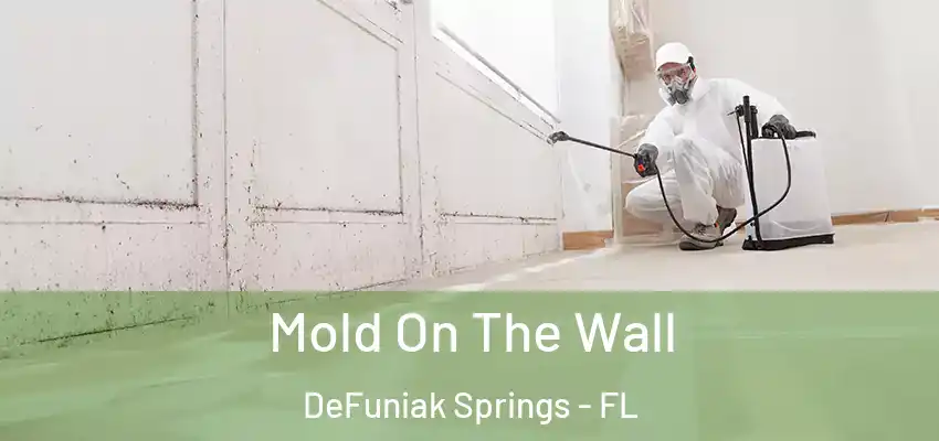 Mold On The Wall DeFuniak Springs - FL