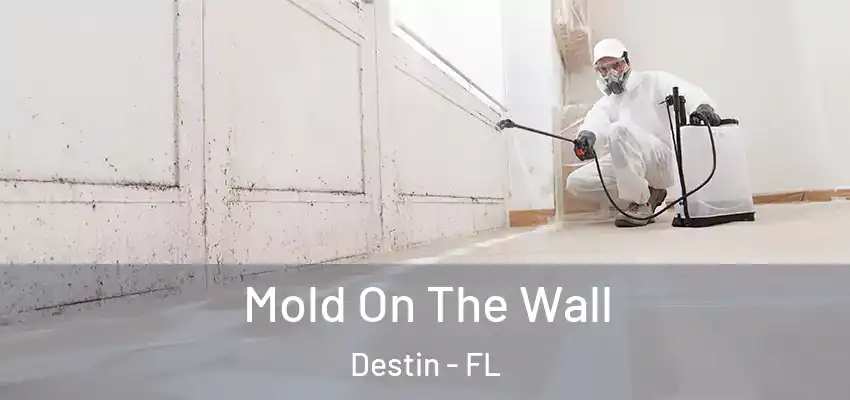  Mold On The Wall Destin - FL