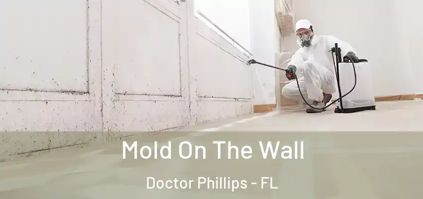  Mold On The Wall Doctor Phillips - FL