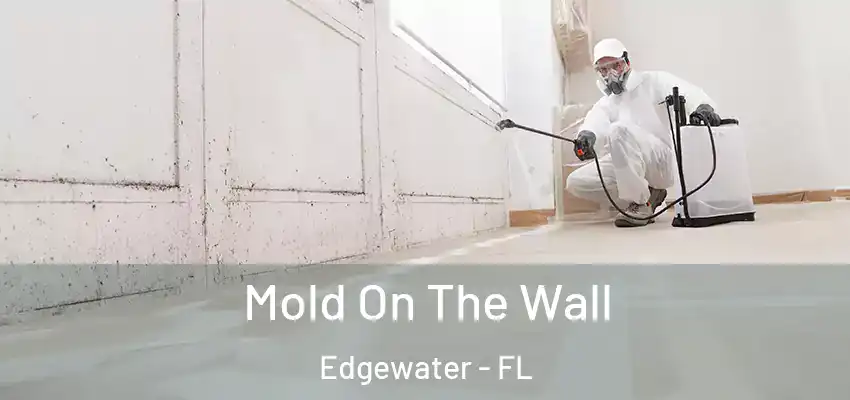  Mold On The Wall Edgewater - FL