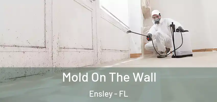  Mold On The Wall Ensley - FL