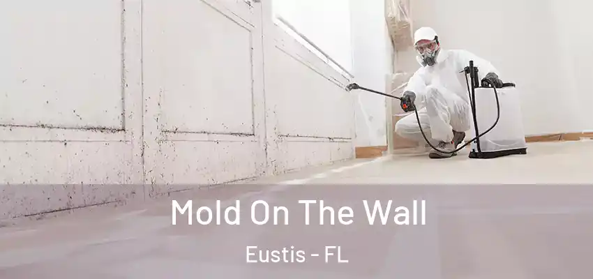  Mold On The Wall Eustis - FL